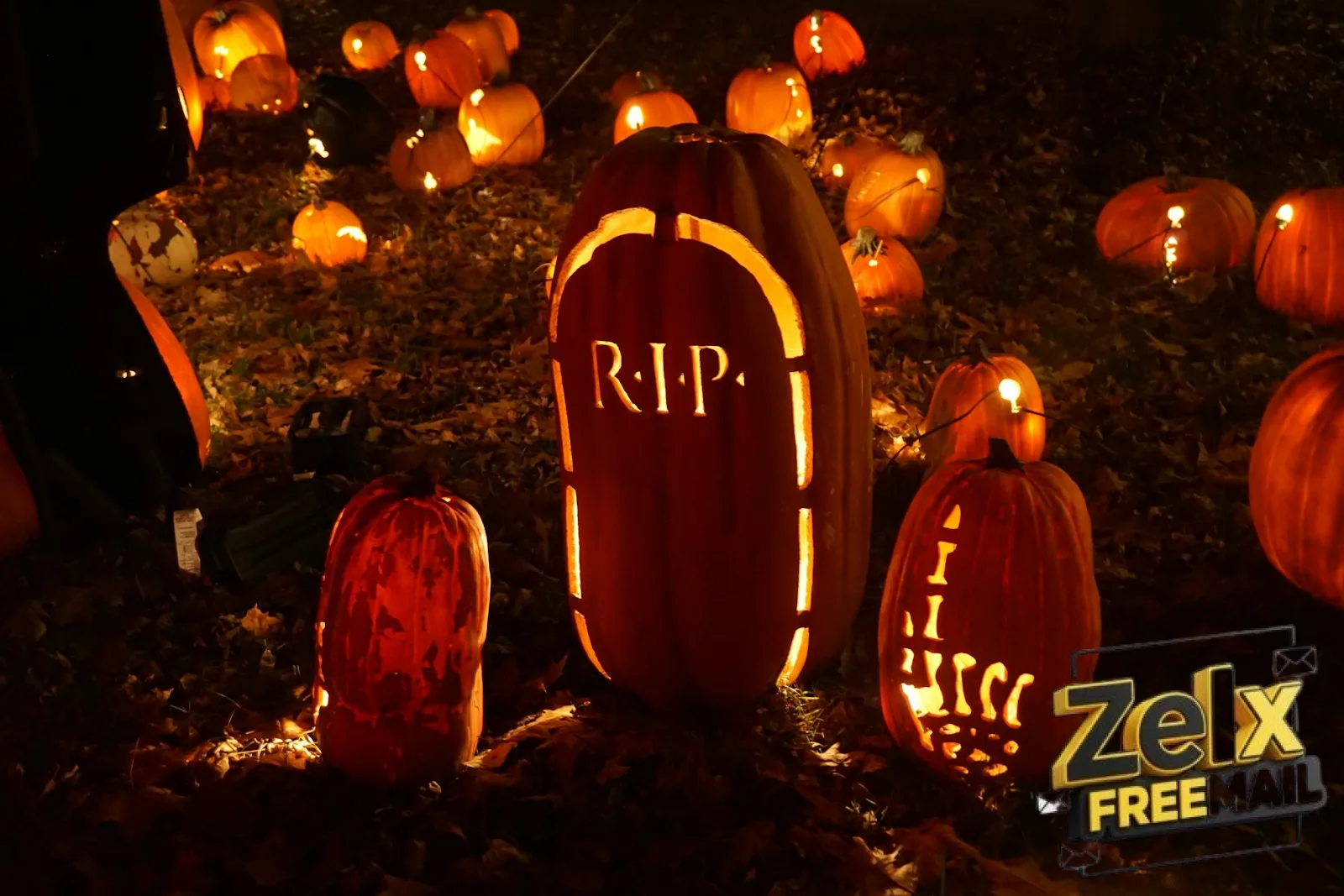 pumpkin squash decor