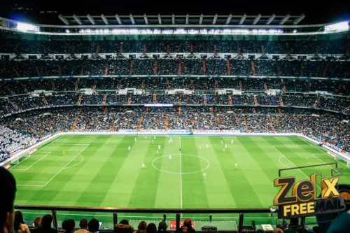 soccer field