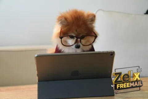 brown and white long coated small dog wearing eyeglasses on black laptop computer