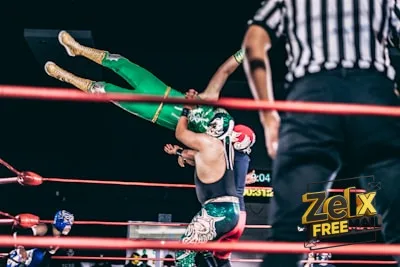 a person holding another man in a ring with a crowd watching