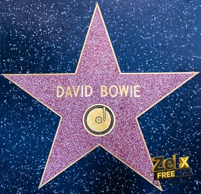 David Bowie star